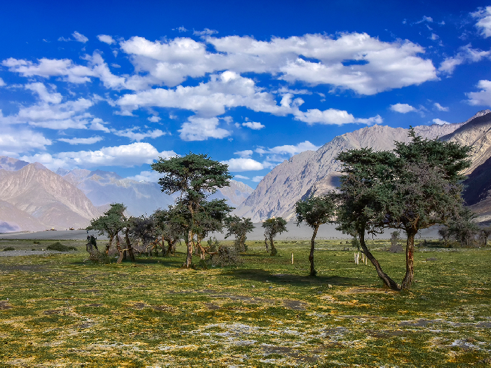 Ladakh Tour Package From Chandigarh