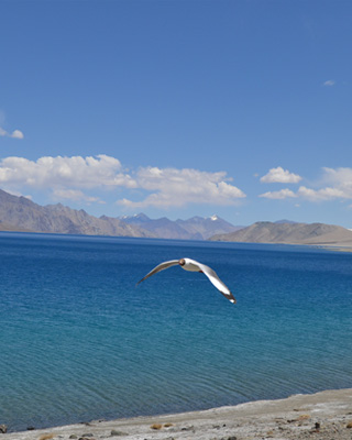Ladakh Tour Packages From Chandigarh